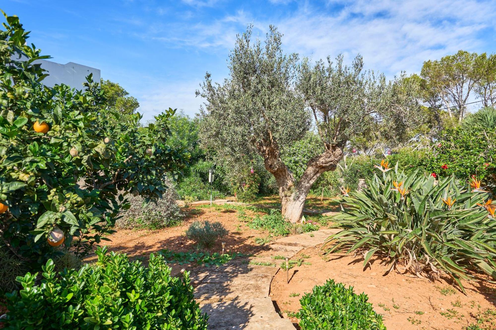 Villa S'Aguila Santanyí Buitenkant foto